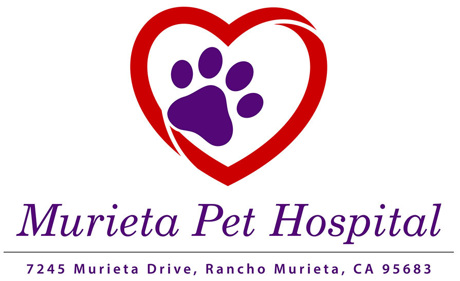 Murieta Pet Hospital