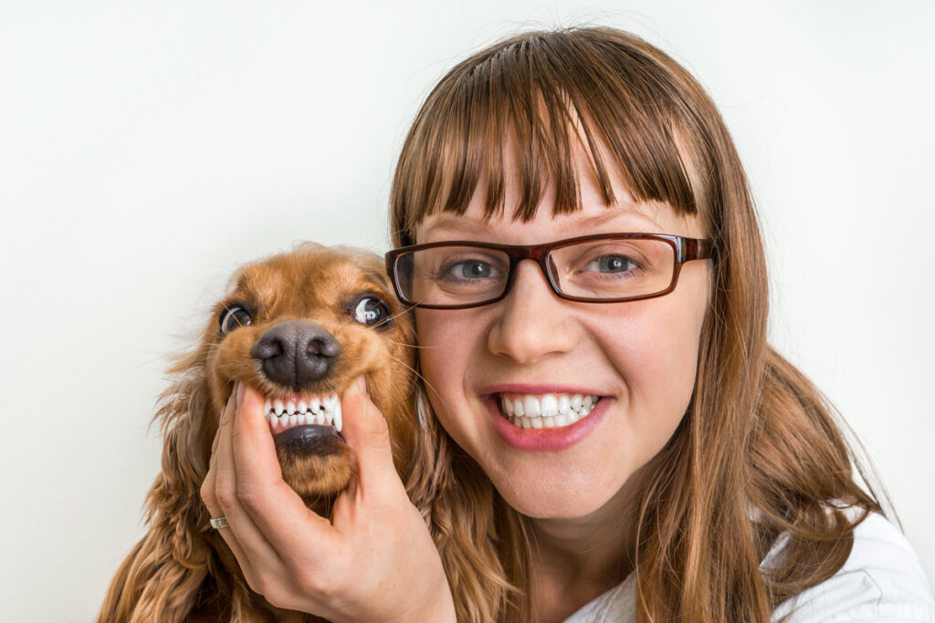 Funny smiling dog and veterinarian in veterinary clinic - animal and pet veterinary care concept