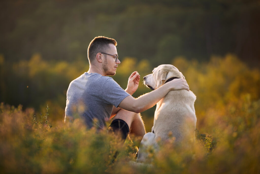 Man with dog sitting together on meadow.