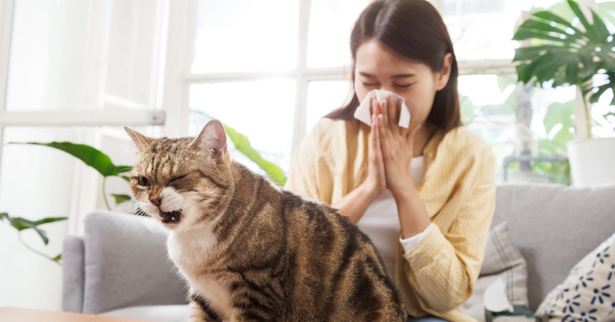cat coughing next to owner as she sneezes in a tissue