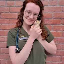Dr. Ashley posing for a picture with a small orange striped kitten
