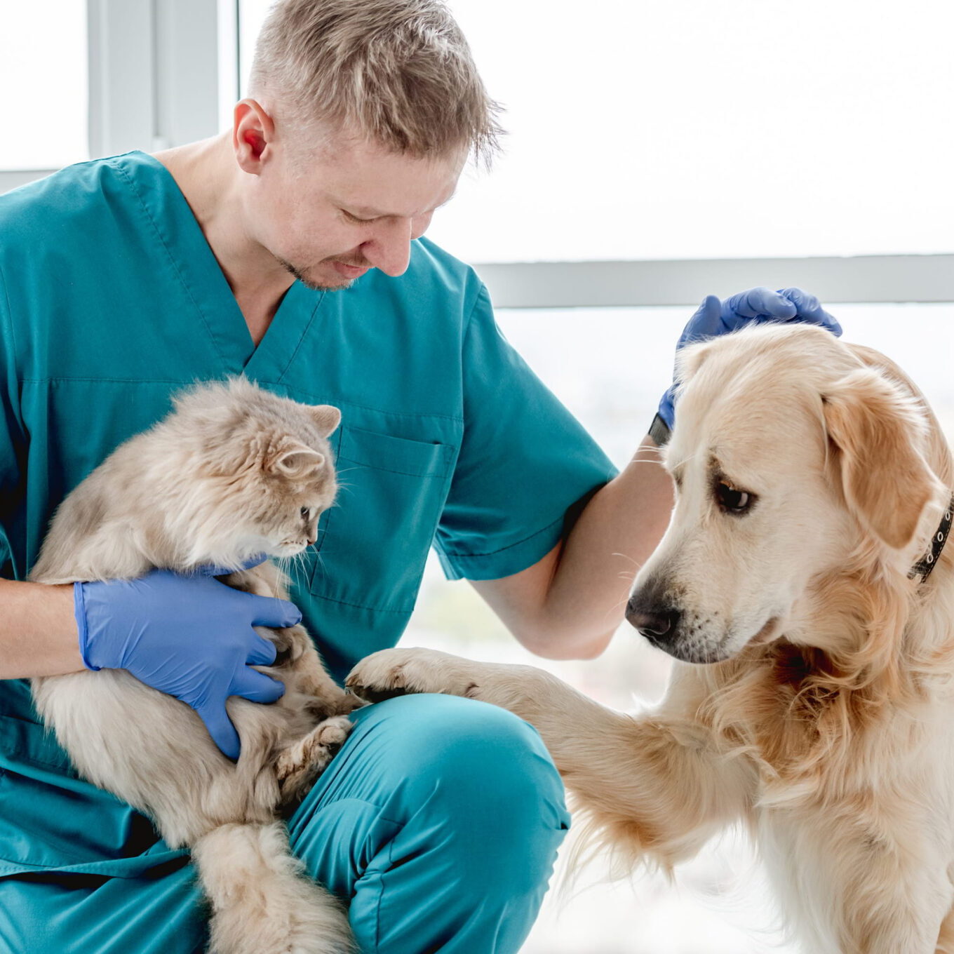 Male Vet With Cat and Dog