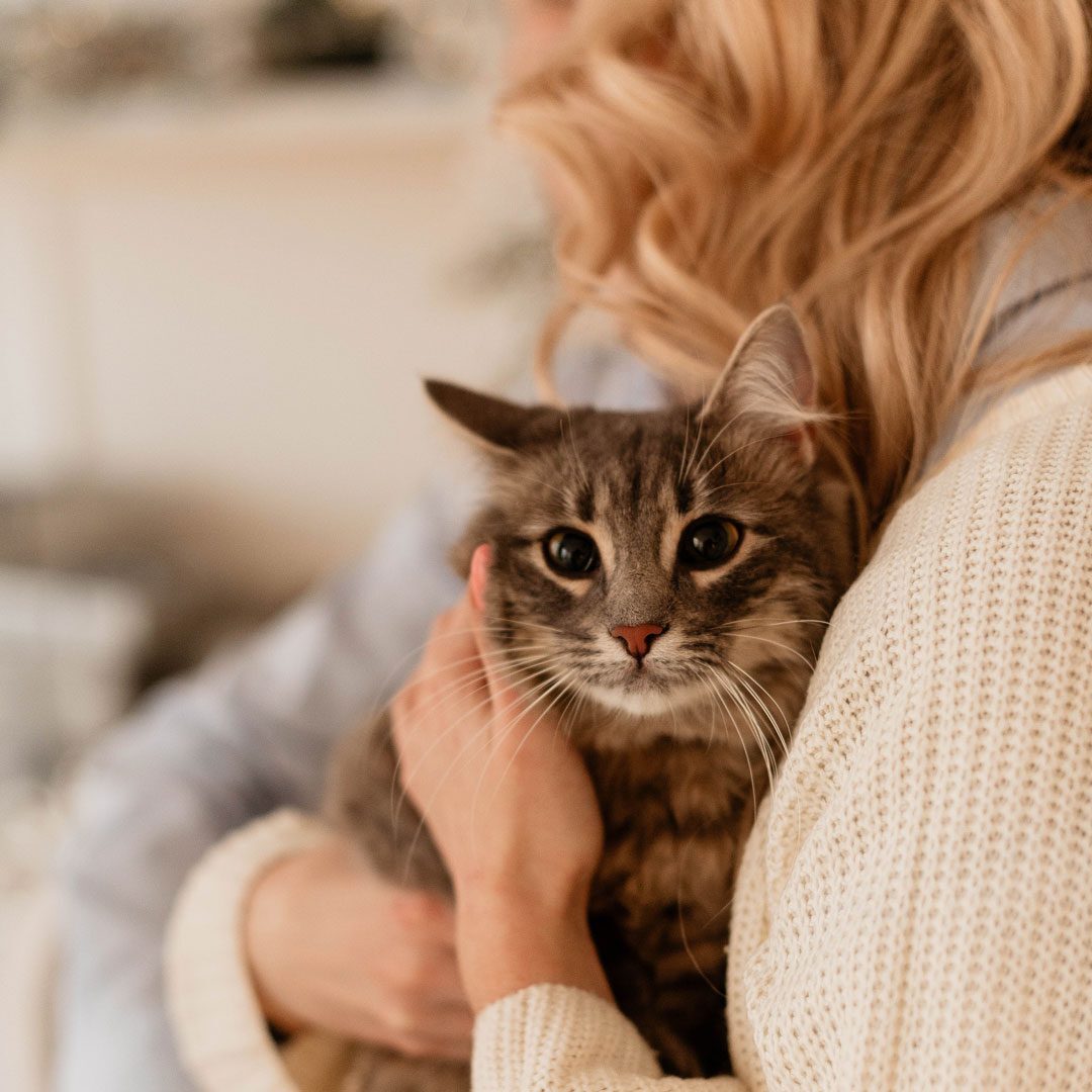 blonde woman holding cute cat